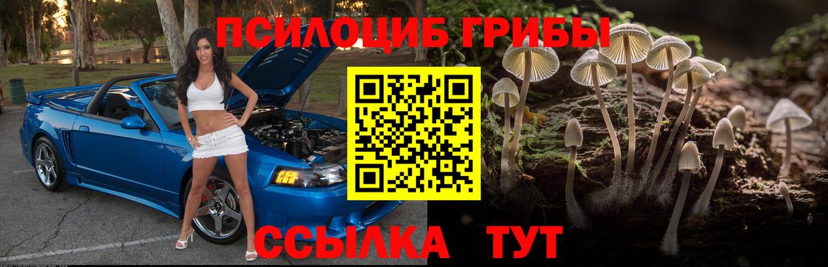 Владикавказ  Галлюциногенные грибы Magic Shrooms  Вход с VPN 